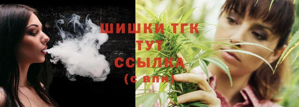 прущие грибы Баксан