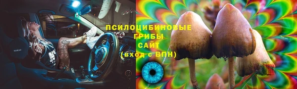 прущие грибы Баксан