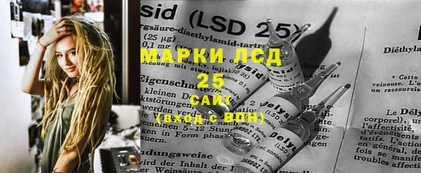 прущие грибы Баксан
