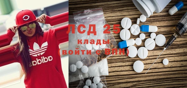 прущие грибы Баксан