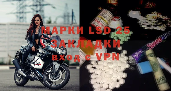 прущие грибы Баксан