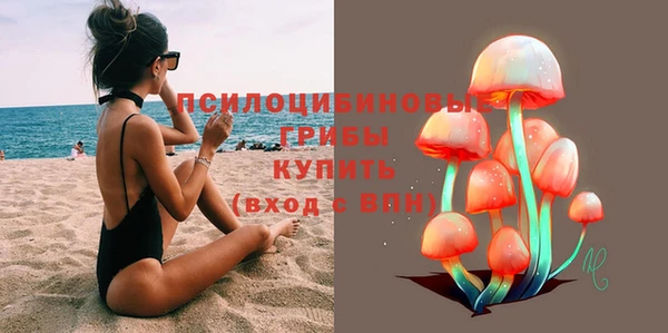 прущие грибы Баксан
