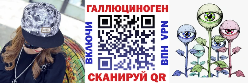 Галлюциногенные грибы Psilocybe  blacksprut   Лахденпохья 